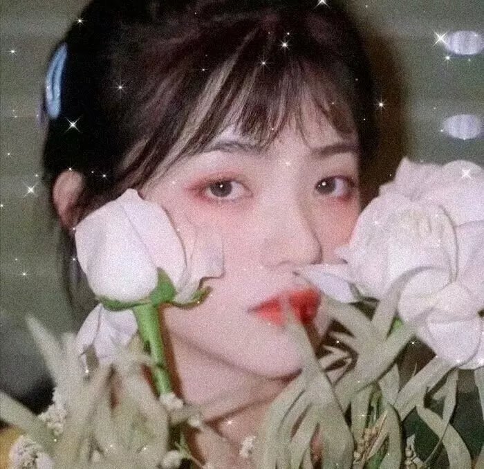 贝尔斯通之狐
